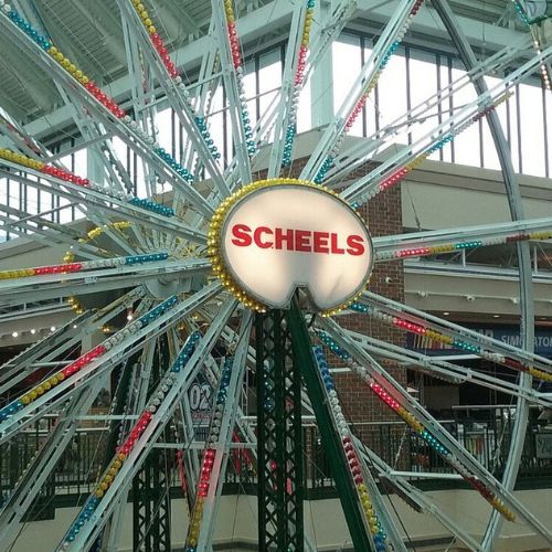 Scheels (1)